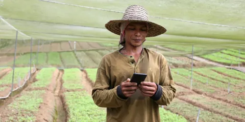 Man using a smartphone in a remote area