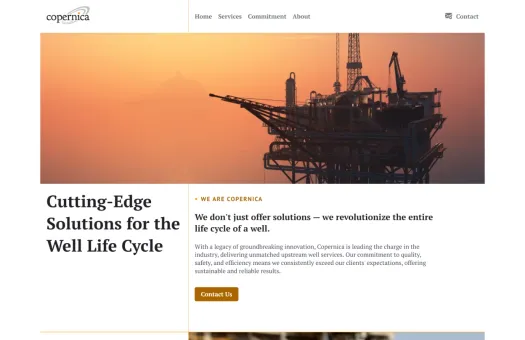Screenshot of Copernica website